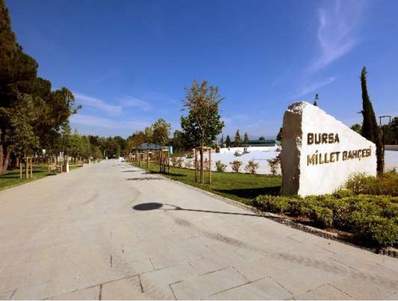 bursa